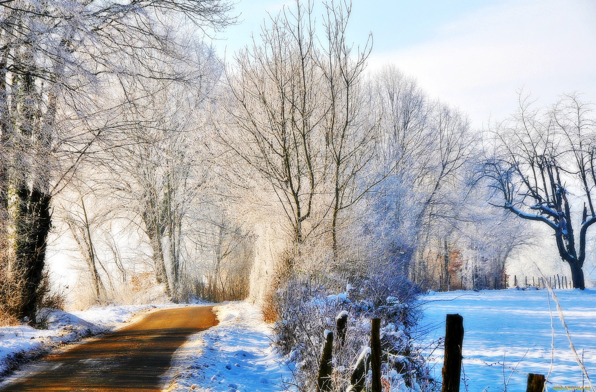 Картинки времена года. Ранняя зима. Декабрь природа. Природа зима. Пейзаж зимой и летом.